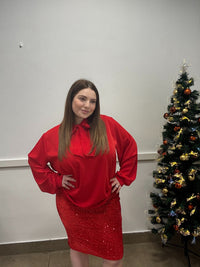 Gonna tubino paillettes